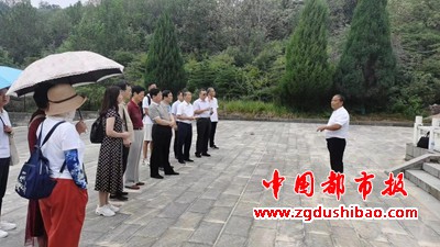 图片5