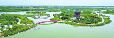 图片5