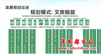 图片7