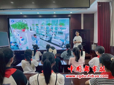 图片4