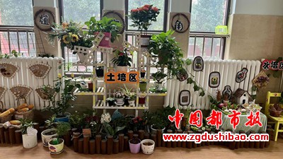 图片42
