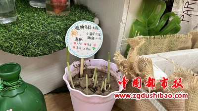 图片44
