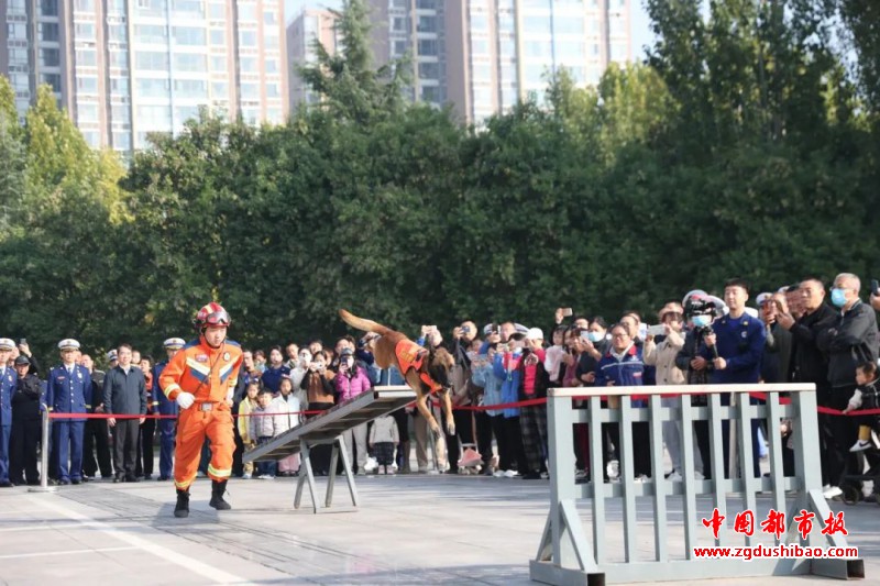 微信图片_20231109095233