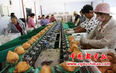 微信图片_20231116093145
