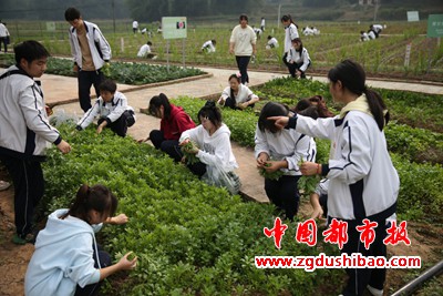 图片42