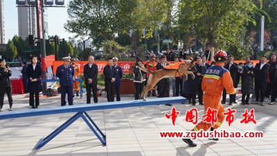 微信图片_20231116094035