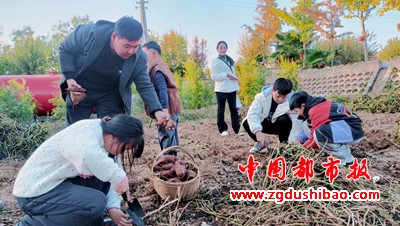 微信图片_20231123100439