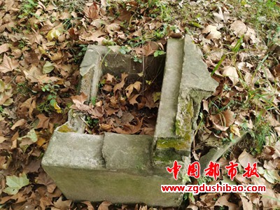 图片22