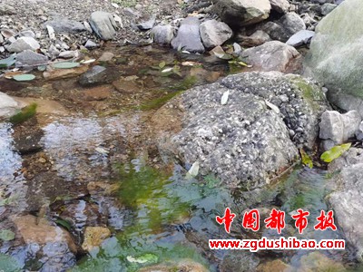 图片23