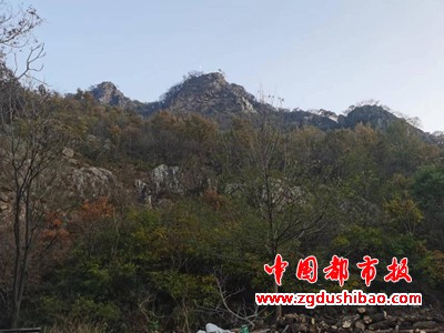 图片24