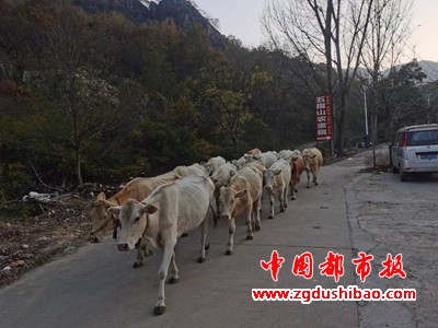 图片26