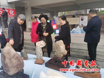图片7