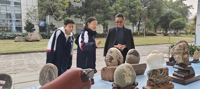 图片8