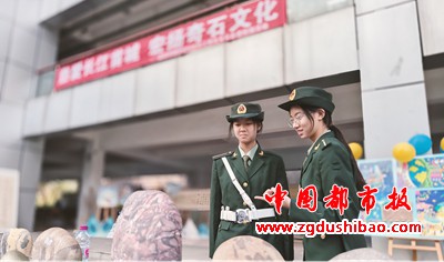 图片15