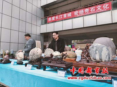 图片17
