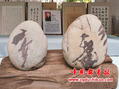 图片23