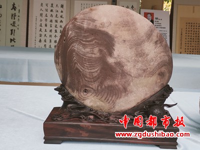 图片24
