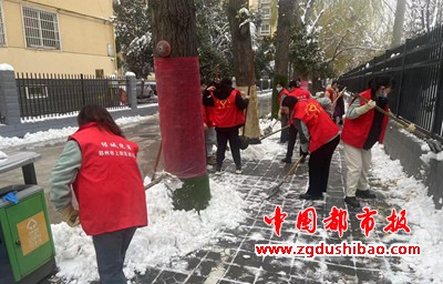 图片8