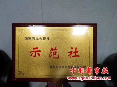微信图片_20231213142901