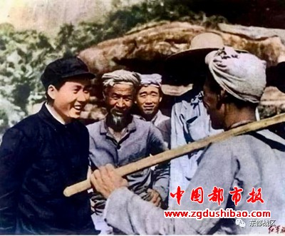 图片4