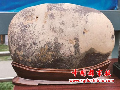 图片31