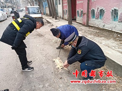 图片88