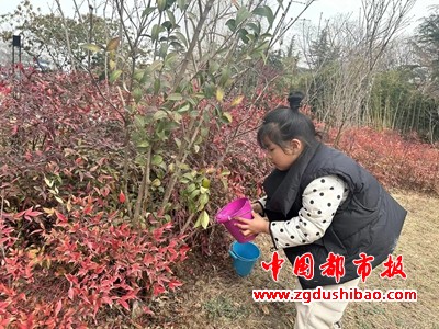 图片29