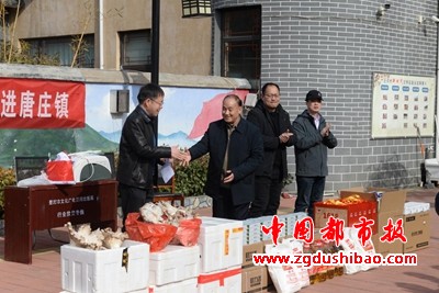 图片8