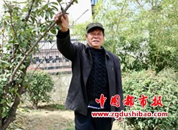 图片13
