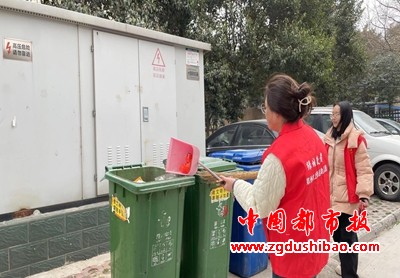 图片8