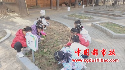 图片15