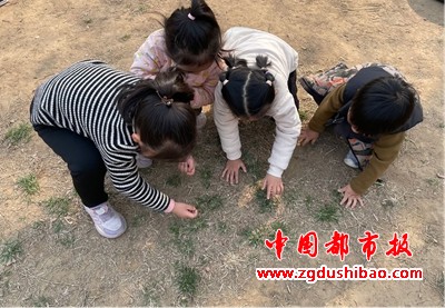 图片19