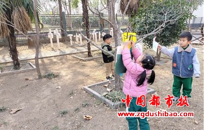 图片21