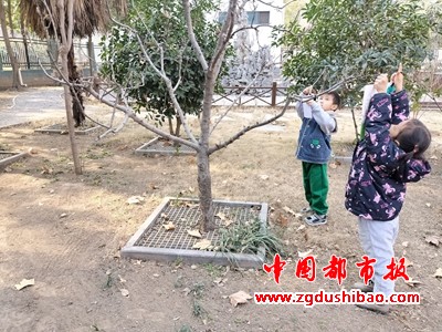 图片26