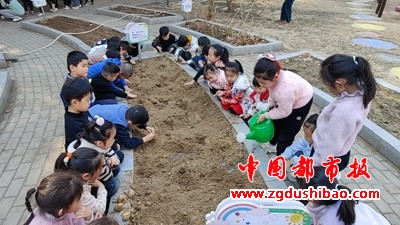 图片33