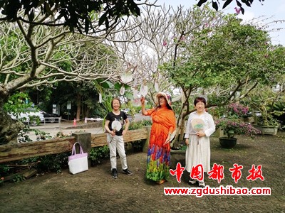 图片2