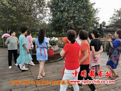 图片10