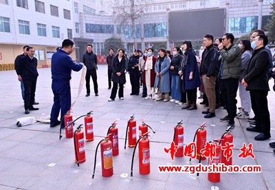 图片7