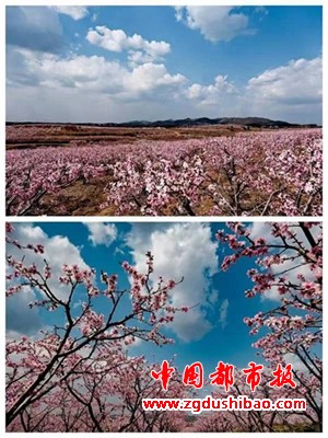 微信图片_20240328194532