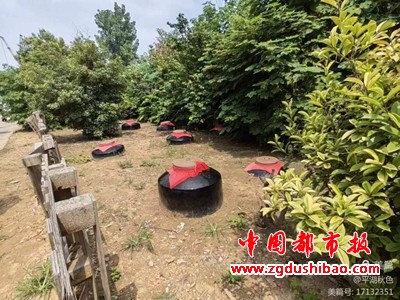 图片8