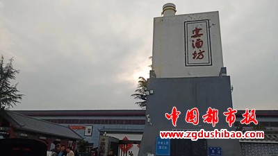 图片12