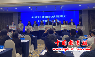 图片12
