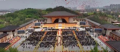 图片11