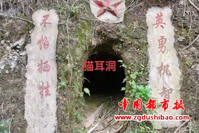 图片19