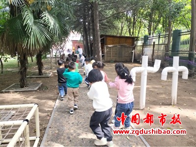 图片11