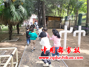 图片33