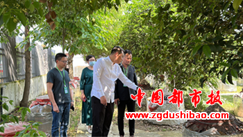 图片6