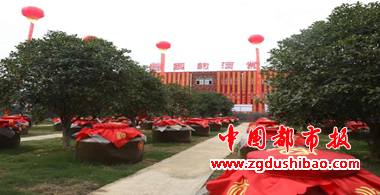 图片7