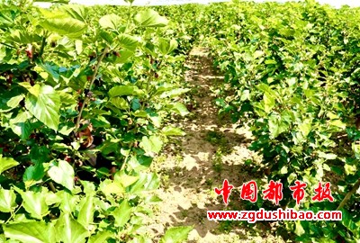 图片14