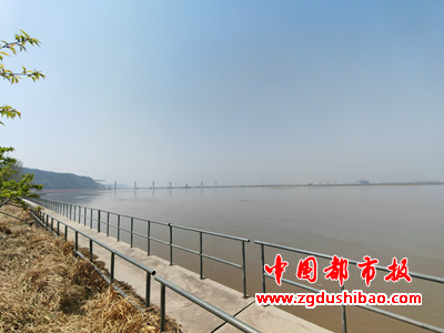 图片20